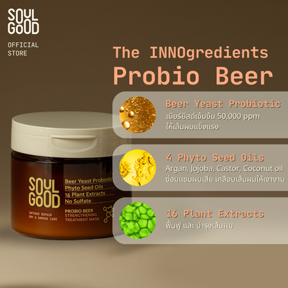 Probio Beer Intense Repair Damage Care Treatment 200ml