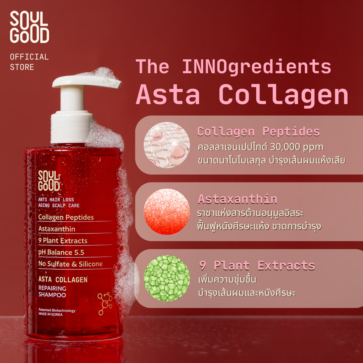 Asta Collagen Anti Hair Loss Aging Scalp Shampoo 300ml