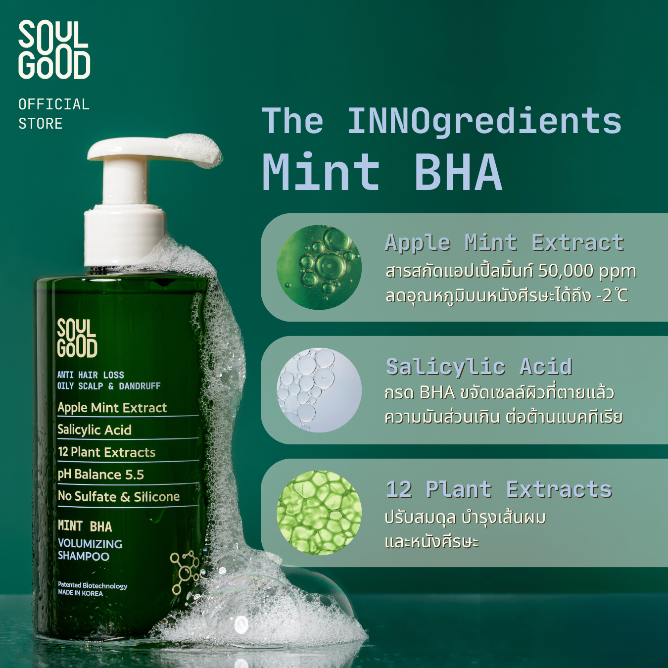 Mint BHA Anti Hair Loss Oily Dandruff Scalp Shampoo 300ml