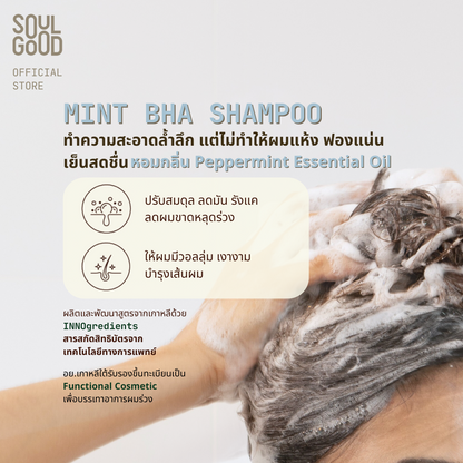 Mint BHA Anti Hair Loss Oily Dandruff Scalp Shampoo 300ml